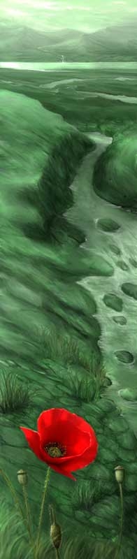 Creation of green fields: Step 5